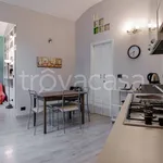 Rent 2 bedroom apartment of 50 m² in Torino