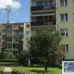 Rent 3 bedroom apartment in Goleniów