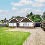 Bungalow to rent in Codmore Crescent, Chesham HP5