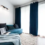 Rent 1 bedroom apartment of 36 m² in Prague