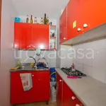 Rent 1 bedroom apartment of 45 m² in Napoli