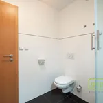 Pronajměte si 2 ložnic/e byt o rozloze 60 m² v Prague