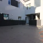 Rent 3 bedroom apartment of 76 m² in Hradec Králové