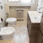 Rent 1 bedroom apartment of 47 m² in Milano