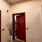 Rent 2 bedroom apartment of 60 m² in Bologna