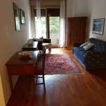 Rent 2 bedroom apartment of 60 m² in Rome