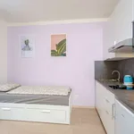 Studio o rozloze 23 m² v prague