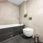 Rent 3 bedroom apartment of 85 m² in Trhový Štěpánov