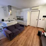 Rent 2 bedroom apartment of 60 m² in Torino