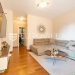 Rent 1 bedroom apartment of 67 m² in Zagreb