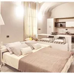 Rent 1 bedroom apartment of 46 m² in Torino