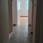 Rent 3 bedroom apartment of 109 m² in Κυψέλη