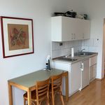 Rent 1 bedroom apartment of 30 m² in Frankfurt