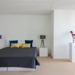 Huur 2 slaapkamer appartement van 116 m² in Den Haag