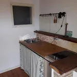 Rent 1 bedroom apartment of 28 m² in Pontedera