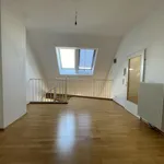 Rent 3 bedroom apartment of 110 m² in Wien