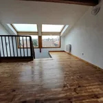 Rent 1 bedroom apartment of 68 m² in Toulouse