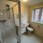 Rent 2 bedroom apartment in Exeter