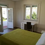 Rent 8 bedroom house in Porto