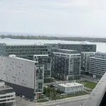 Rent 1 bedroom apartment in Toronto (Waterfront Communities)