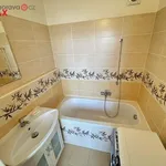 Rent 4 bedroom apartment in Vsetín