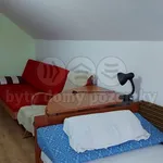 Rent 1 bedroom apartment of 8 m² in Krčmaň