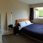 Rent 4 bedroom house in Christchurch