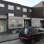 Huur 5 slaapkamer huis van 160 m² in Villapark