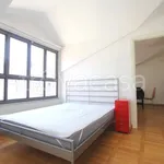 Rent 2 bedroom apartment of 40 m² in Milano