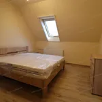 Rent 4 bedroom apartment of 210 m² in Nyíregyháza