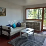 Rent 3 bedroom apartment of 70 m² in Sestola