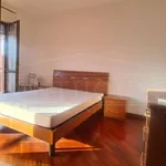 Rent 3 bedroom apartment of 90 m² in Roma