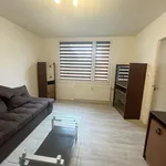 Rent 3 bedroom apartment of 67 m² in Nýřany