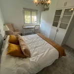 Rent 4 bedroom apartment in Malaga