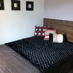 Rent 1 bedroom flat in Yorkshire And The Humber