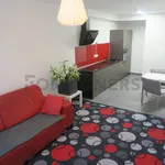 Rent 1 bedroom apartment of 62 m² in Brno