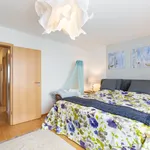 Miete 6 Schlafzimmer wohnung von 180 m² in Siegburg