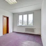 Rent 1 bedroom apartment of 41 m² in Plzeň