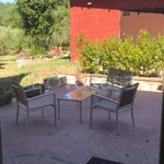 Rent 2 bedroom apartment of 60 m² in Pofi