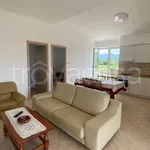 Rent 3 bedroom apartment of 74 m² in Zagarolo