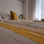 Rent 1 bedroom apartment in milan