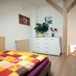 Pronajměte si 1 ložnic/e byt o rozloze 40 m² v Prague