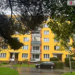 Rent 1 bedroom apartment of 24 m² in Mariánské Lázně