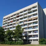 Rent 3 bedroom apartment of 65 m² in Cottbus - Chóśebuz