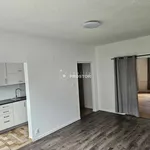 Rent 3 bedroom apartment of 66 m² in Ústí nad Labem