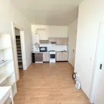 Rent 1 bedroom apartment of 33 m² in Brno