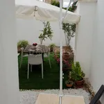 Rent 4 bedroom apartment of 79 m² in Nardò