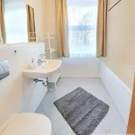 Rent 1 bedroom apartment in Capital City of Prague