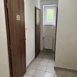 Rent 3 bedroom apartment in Plzeň