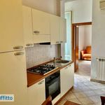 Affitto 2 camera appartamento di 52 m² in Grosseto